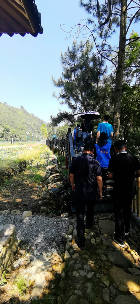 新媒体看苍南走进莒溪---美丽畲村 多彩溪东村