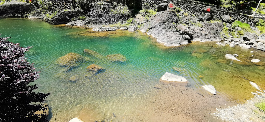 在苍南,有这样一处世外桃源,这里依山傍水,草木丰茂,鸟鸣不绝,溪水碧玉如翡翠,被称为浙江的九寨沟。它就是莒溪镇的大峨村