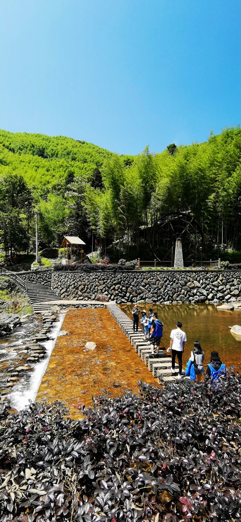 在苍南,有这样一处世外桃源,这里依山傍水,草木丰茂,鸟鸣不绝,溪水碧玉如翡翠,被称为浙江的九寨沟。它就是莒溪镇的大峨村