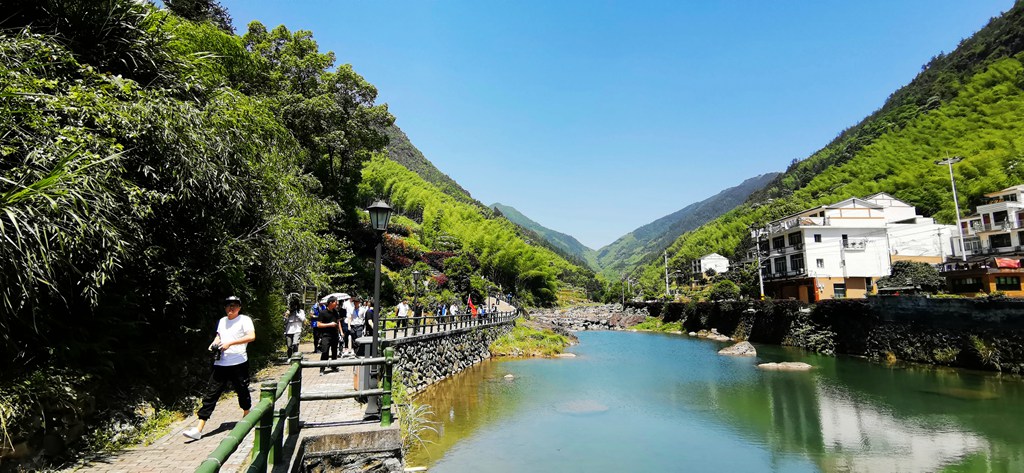 在苍南,有这样一处世外桃源,这里依山傍水,草木丰茂,鸟鸣不绝,溪水碧玉如翡翠,被称为浙江的九寨沟。它就是莒溪镇的大峨村