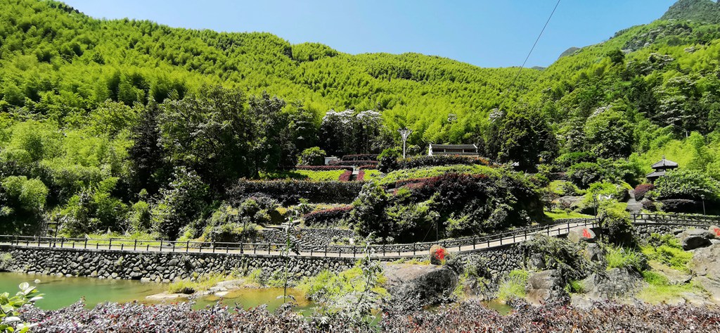 在苍南,有这样一处世外桃源,这里依山傍水,草木丰茂,鸟鸣不绝,溪水碧玉如翡翠,被称为浙江的九寨沟。它就是莒溪镇的大峨村