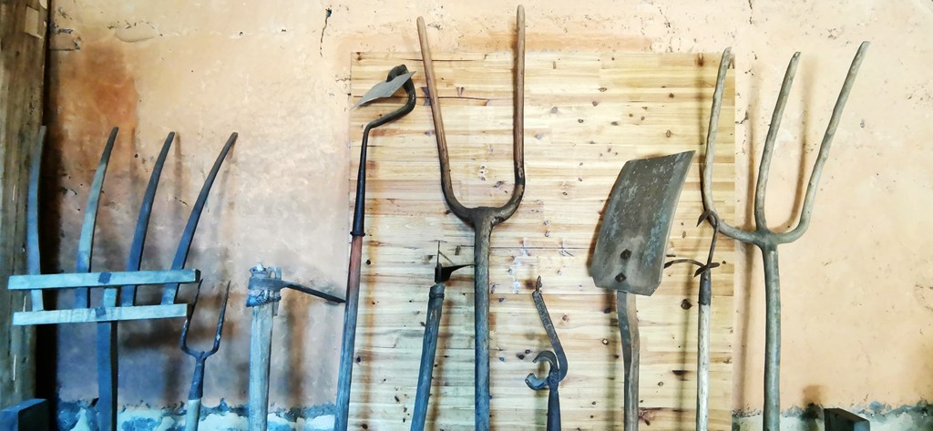 新媒体看苍南走进莒溪--乡土文创 群英荟萃