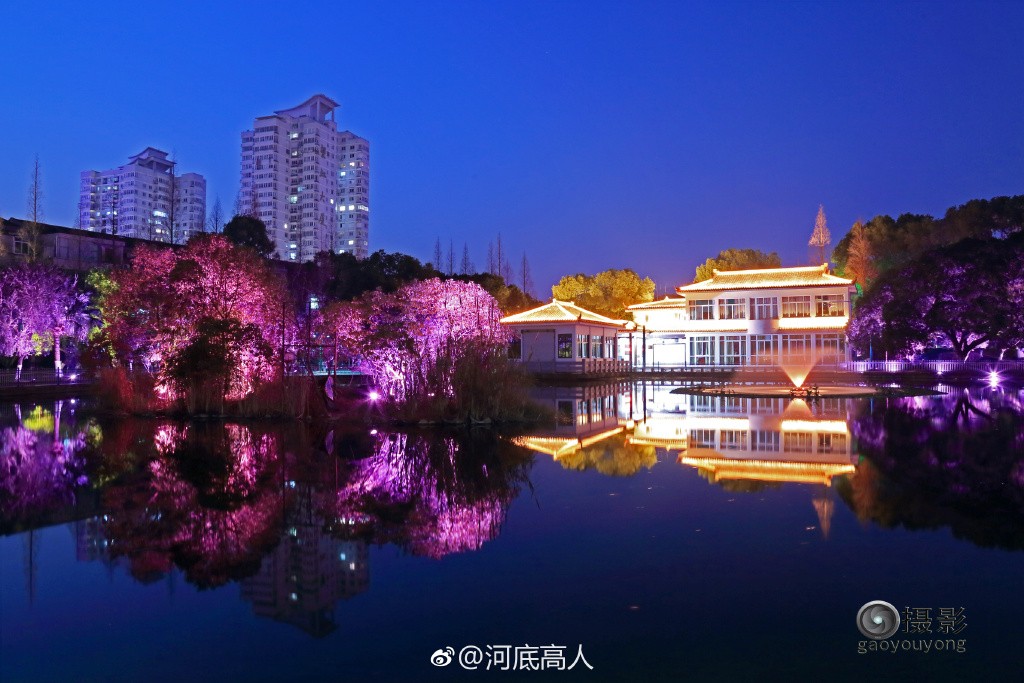 龙港公园夜景 来源：新浪微博河底高人