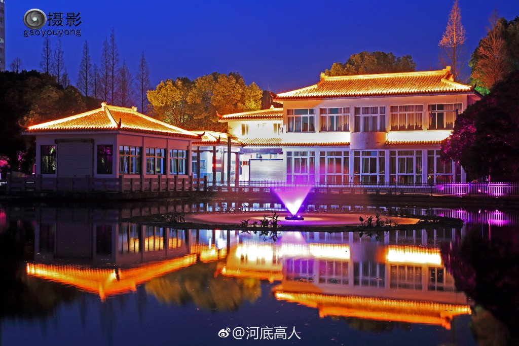 龙港公园夜景 来源：新浪微博河底高人