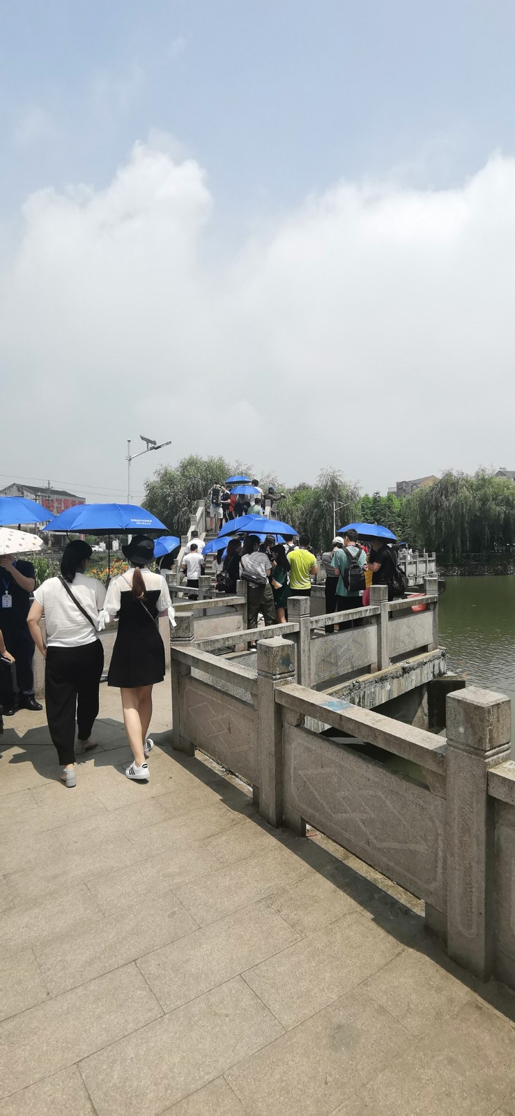 新媒体看苍南走进金乡---迎旭岛亲水公园