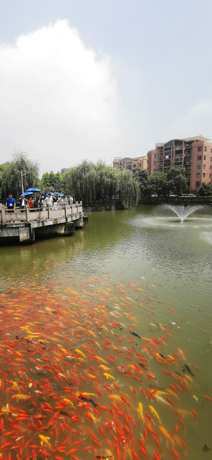 新媒体看苍南走进金乡---迎旭岛亲水公园