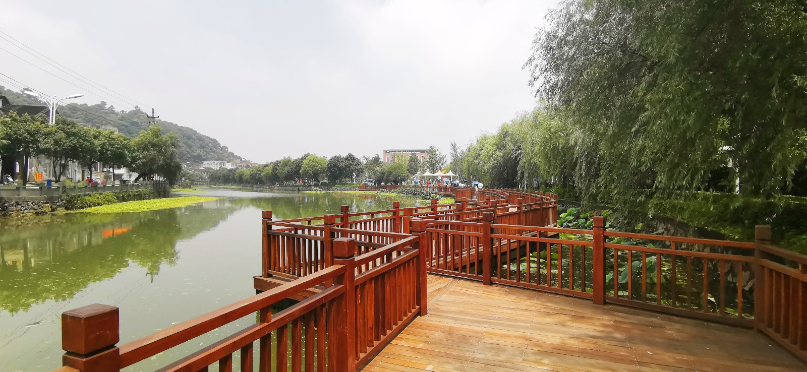 新媒体看苍南走进金乡---迎旭岛亲水公园