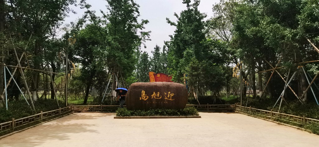 行走在金乡环城绿道上，东门欧式廊桥展现在大家眼前。这座欧式廊桥由金乡在外企业家陈理校先生捐资兴建，它的设计灵感来自于身后的两座建于上世纪九十年代的欧式别墅。廊桥和小洋楼的组合成为环城绿道上一道独特的风景，也是金乡地标性建筑之一。   　　沿着绿道继续走，漫步护城河上，荷香竹影为伴，与路旁的拱桥、大榕树遥相呼应，景致宜人。据悉，金乡环城绿道沿护城河而建，全长5.5公里，沿线设置8大主题区域、24个景观节点。目前已实现全线贯通，仅余几处节点继续完善中。