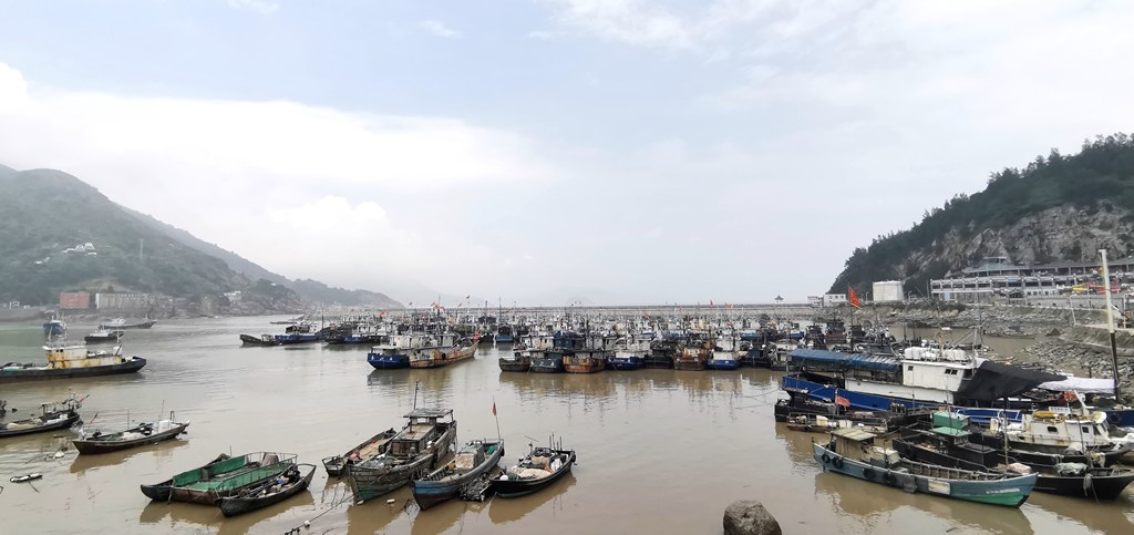 新媒体看苍南走进金乡--- 欧乐湾梦幻海洋乐园