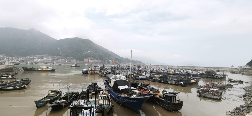 新媒体看苍南走进金乡--- 欧乐湾梦幻海洋乐园