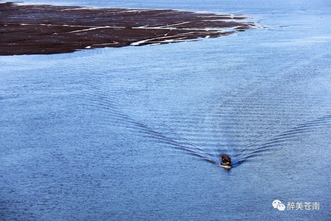 龙港镇舥艚社区随着各重点项目建设的全力推进,城乡面貌焕然一新,尤其是舥艚大桥,世纪大道、隧道等基础设施的不断完善,一个明日港口新城正在崛起。摄影 / 龙港开心大叔