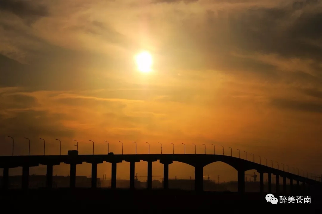 龙港镇舥艚社区随着各重点项目建设的全力推进,城乡面貌焕然一新,尤其是舥艚大桥,世纪大道、隧道等基础设施的不断完善,一个明日港口新城正在崛起。摄影 / 龙港开心大叔