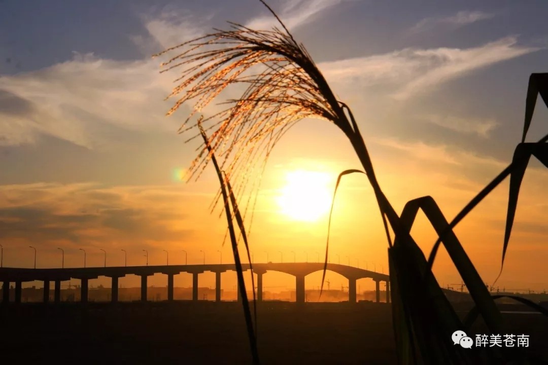 龙港镇舥艚社区随着各重点项目建设的全力推进,城乡面貌焕然一新,尤其是舥艚大桥,世纪大道、隧道等基础设施的不断完善,一个明日港口新城正在崛起。摄影 / 龙港开心大叔