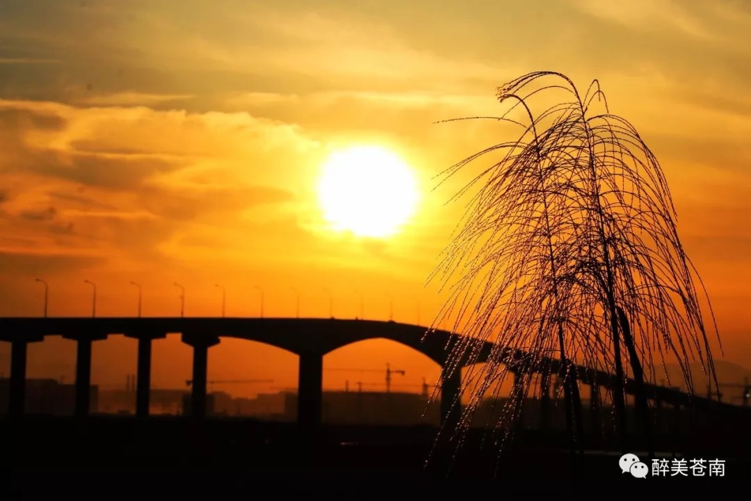 龙港镇舥艚社区随着各重点项目建设的全力推进,城乡面貌焕然一新,尤其是舥艚大桥,世纪大道、隧道等基础设施的不断完善,一个明日港口新城正在崛起。摄影 / 龙港开心大叔