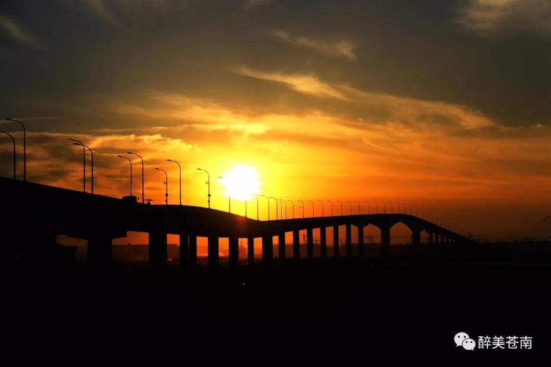 龙港镇舥艚社区随着各重点项目建设的全力推进,城乡面貌焕然一新,尤其是舥艚大桥,世纪大道、隧道等基础设施的不断完善,一个明日港口新城正在崛起。摄影 / 龙港开心大叔