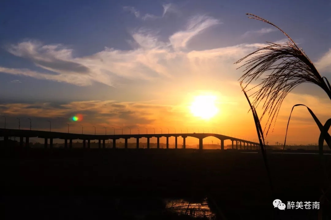 龙港镇舥艚社区随着各重点项目建设的全力推进,城乡面貌焕然一新,尤其是舥艚大桥,世纪大道、隧道等基础设施的不断完善,一个明日港口新城正在崛起。摄影 / 龙港开心大叔