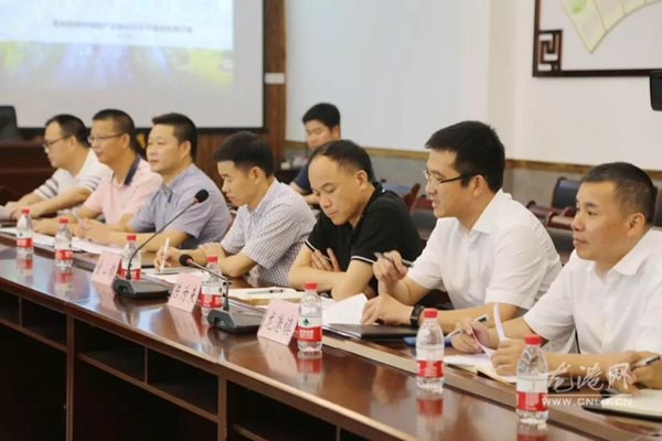 县长郑建忠督查龙港绿野朝阳乡村振兴示范带 这将是龙港颜值高、产业旺的乡