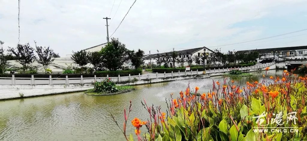 近年来,鉴后西村党支部以“龙港镇国家新型城镇化综合试点”和“村级党组织规范化建设年”为契机,充分发挥村党组织的政治核心作用,切实强化村级党组织的政治属性,以党建促发展、以党建惠民生,大力实施开展美丽乡村、农房集聚、土地流转、治水等工作,村里先后获得了县级美丽乡村、市级生态村、省级森林村庄等荣誉。实现了村美、民富、人和。龙港网综合于鉴后西村