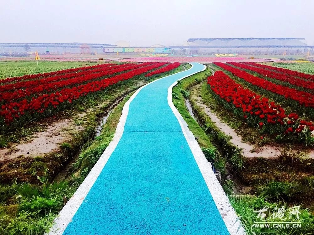 近年来,鉴后西村党支部以“龙港镇国家新型城镇化综合试点”和“村级党组织规范化建设年”为契机,充分发挥村党组织的政治核心作用,切实强化村级党组织的政治属性,以党建促发展、以党建惠民生,大力实施开展美丽乡村、农房集聚、土地流转、治水等工作,村里先后获得了县级美丽乡村、市级生态村、省级森林村庄等荣誉。实现了村美、民富、人和。龙港网综合于鉴后西村