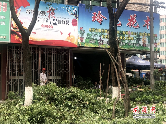 微信图片_20200502234921.jpg