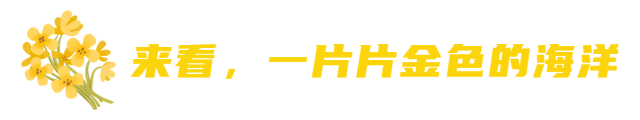 640 (4).png