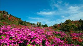 开了！苍南4个网红点要火！现在就去