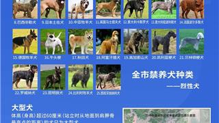 温州全市通知：禁养这25种烈性犬！
