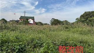 唤醒沉睡的80亩！龙港这片荒地“重启”成功，将变身全能“服务圈”