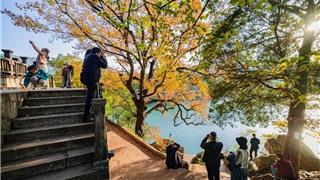 浙江秋假优惠福利安排上 多个景区免！免！免！