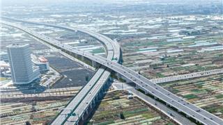 龙港228国道，要建高架了！
