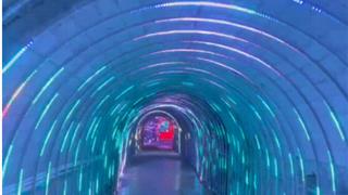 龙港周边游 | 岭根村有个“时光隧道”等着你！