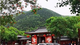 免费！折扣！一大批景区福利来了→