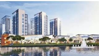 龙港市城市建设发展有限公司 砥砺奋进促蝶变 高质量发展开新篇
