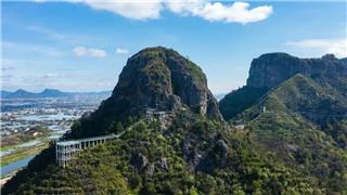 免票！打折！送礼！2026女神节，苍南就要“宠”你上天！