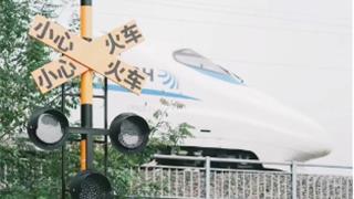 龙港周边又多一批网红点！超好玩