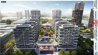 龙港二桥沿线片区城市有机更新项目(一期)综合开发中标结果公告