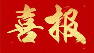 【喜报】华高师生在2025温州市政治小论文评审活动中再创佳绩