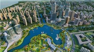 今天是龙港建市四周年